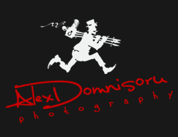 logo domnisoru.ro domnisoru.ro