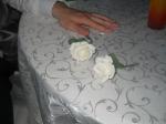 Click on one of the size names above to enlarge this image Click on one of the size names above to enlarge this image