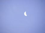 Click on one of the size names above to enlarge this image