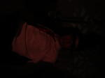 Click on one of the size names below to enlarge this image