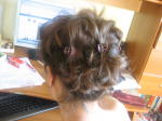 Click on one of the size names below to enlarge this image