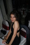 Click on one of the size names above to enlarge this image Click on one of the size names above to enlarge this image