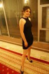 Click on one of the size names above to enlarge this image Click on one of the size names above to enlarge this image