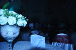 Click on one of the size names below to enlarge this image Click on one of the size names below to enlarge this image