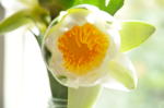Click on one of the size names below to enlarge this image