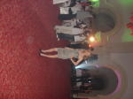 Click on one of the size names above to enlarge this image Click on one of the size names above to enlarge this image