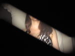 Click on one of the size names above to enlarge this image Click on one of the size names above to enlarge this image