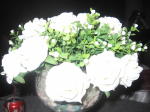 Click on one of the size names above to enlarge this image Click on one of the size names above to enlarge this image