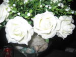 Click on one of the size names above to enlarge this image Click on one of the size names above to enlarge this image